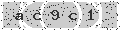 verify code