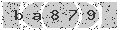 verify code