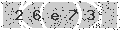 verify code