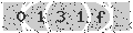 verify code