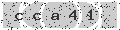 verify code