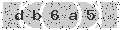 verify code