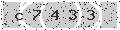 verify code