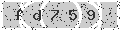 verify code