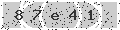 verify code