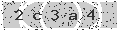 verify code