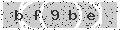verify code
