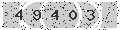 verify code