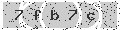 verify code