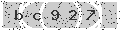 verify code