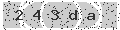 verify code