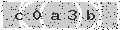 verify code