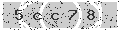 verify code
