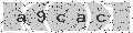 verify code