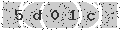 verify code