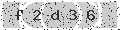 verify code