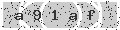 verify code