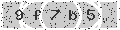 verify code