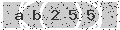 verify code