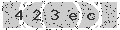 verify code