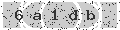verify code