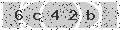 verify code