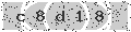 verify code