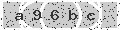 verify code