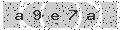 verify code