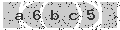 verify code