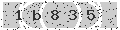 verify code