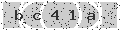 verify code