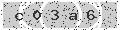 verify code