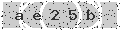 verify code