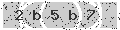 verify code