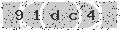 verify code