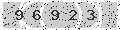 verify code