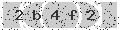 verify code