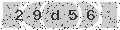 verify code