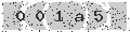 verify code