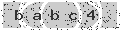verify code