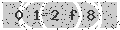 verify code