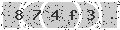 verify code