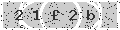 verify code