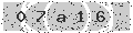 verify code