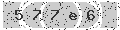 verify code