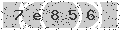 verify code