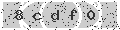 verify code
