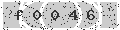verify code