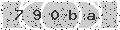 verify code